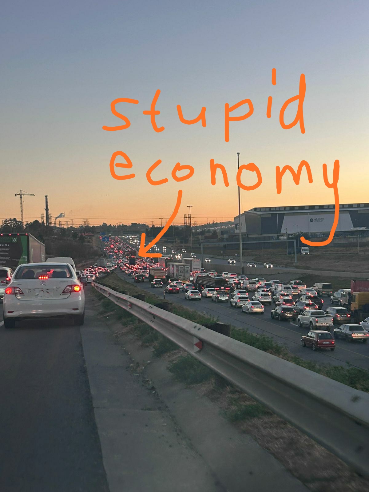 Stupid Economy