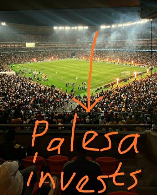Palesa Invests